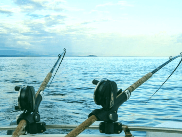 Las 2 mejores cañas de pescar de carbono